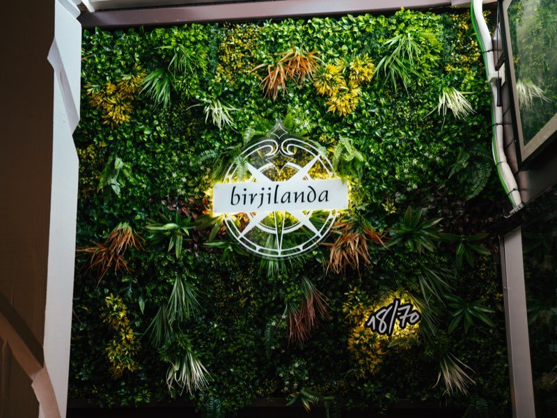 El muro vegetal