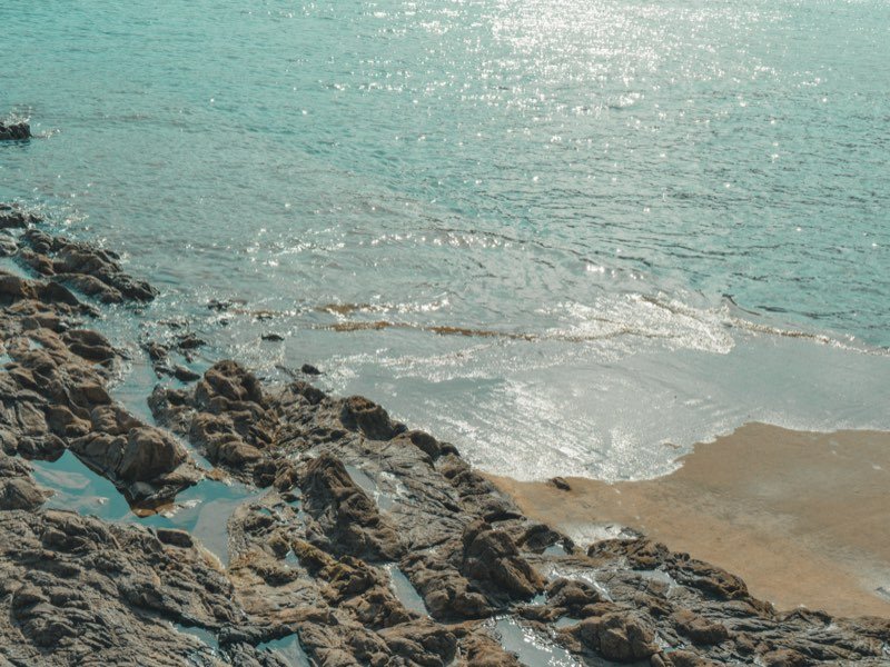 La arena